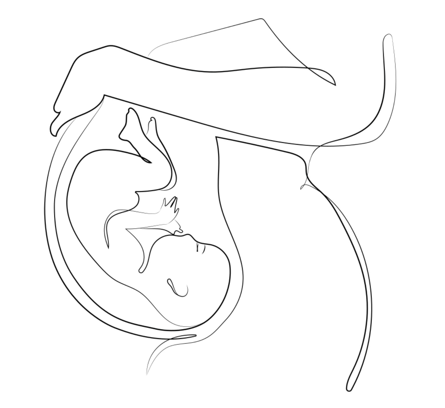 Psychologue sucé sur erdre Nantes revécu naissance rebirth renaissance libération émotionnelle énergéticienne astrologue